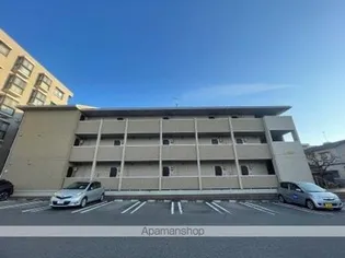 カノン上近江の画像