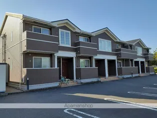 プラシード IIの画像