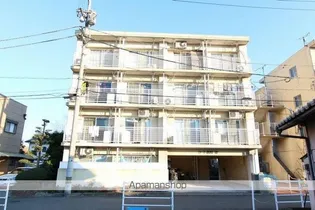 シャトレルセイントの画像