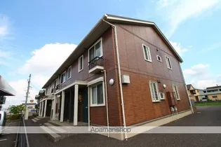 リアン Tの画像