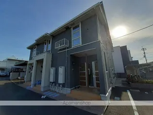 サラマンダーの画像