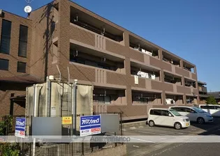 クレセントにしきの画像