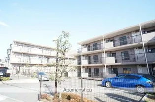 マローネの画像