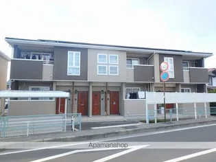 モルティ カミジマCの画像