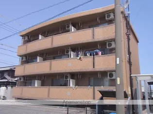 アルファの画像