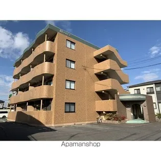 サルビアの画像
