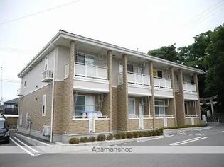 ビオレータの画像