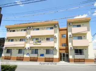 アイドルコートの画像