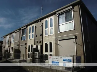 アムールの画像