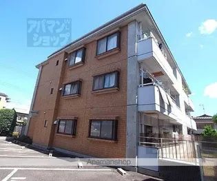 マテンソレイユの画像