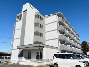 ビッグ シャインの画像