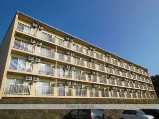 BELLーKの画像