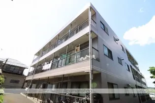 シルフレイの画像
