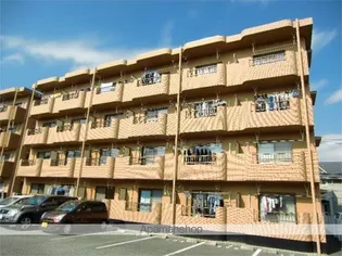 ルミエールIの画像