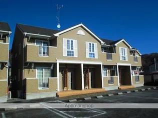 プリムローズBの画像