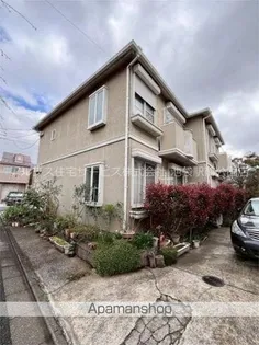 グロリオサBの画像