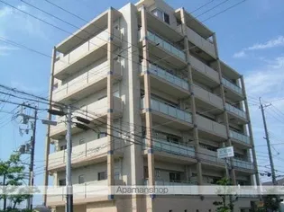 GRACE A P Cの画像