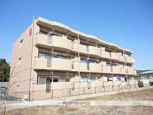 LOTOS BLUME IIの画像