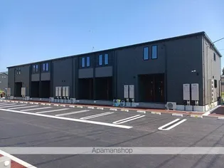 ステラートAの画像