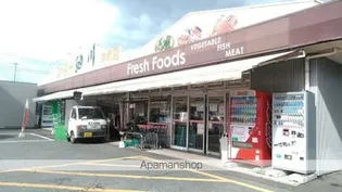 グランブルー沖代【202号室】の周辺