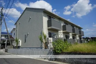 カメリアの画像