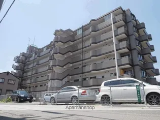 ロイヤルクローバーの画像