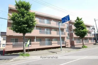 ニューレセントリッチの画像