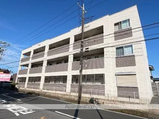 ワン ヒル ライブの画像