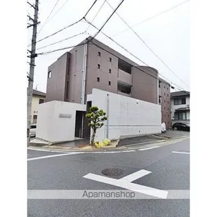 ウェルトータスの画像