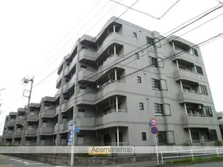 プリマヴェーラの画像