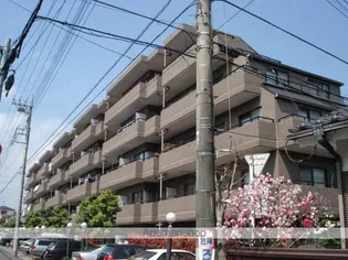 日興パレグランデ八王子の画像