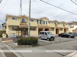 ノーチェの画像