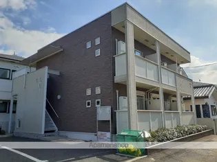 フロレ セレッソの画像