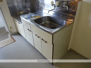 ハイムフェニックスA【1階】のキッチン