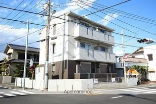 ルーモの画像