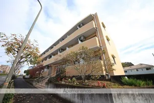 キャッスルヒルズ【3階】の外観