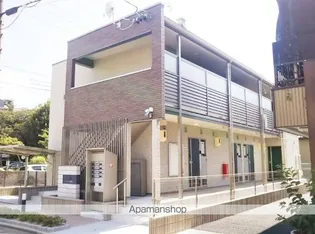 クレイノタマムラの画像