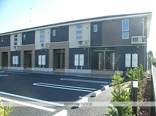 シャネストの画像