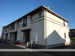 シャンティBの画像