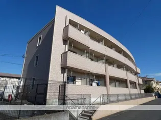 フェアリーヒルズ ヒビキの画像