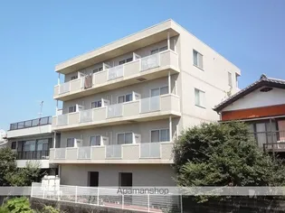 ライトベアの画像
