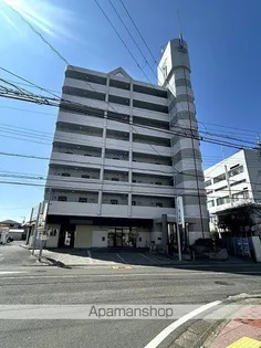 コモド尾崎の画像