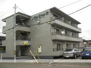 NEW GREEN18の画像