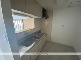 スカイビュー高須台【202号室号室】のキッチン