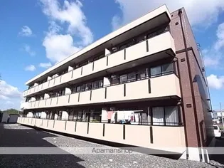 ハイカムールST秀の画像