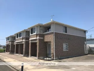 パディフィールドNの画像