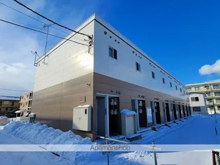 レオパレスチワワの画像