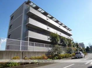 ハイツエーデルワイスⅢ【4階】の外観