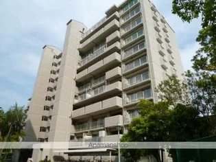 サンパセオ新柏E棟【8階】の外観