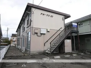 アネックス30の画像